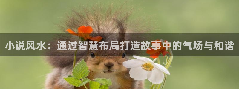 牛眼看书：小说风水：通过智慧布局打造故事中的气场与和谐