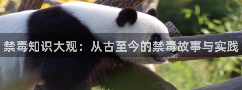 新牛眼看书