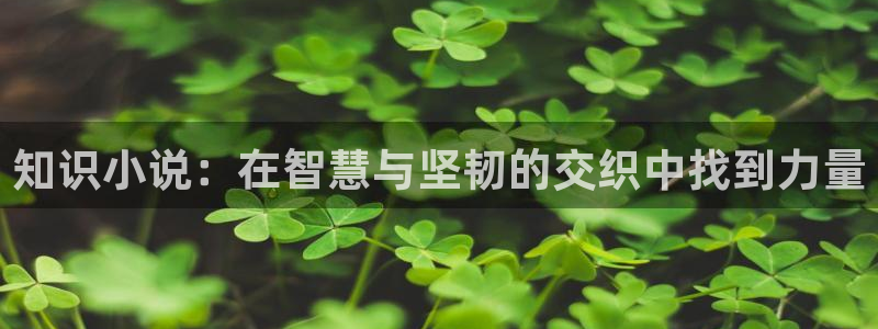 牛眼看书免费全文