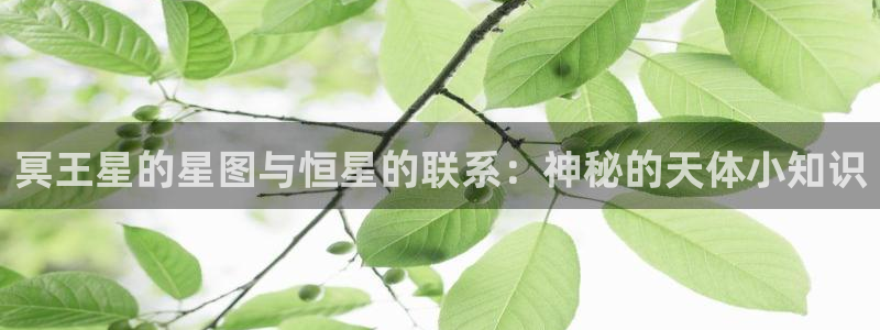 牛眼看书无错版