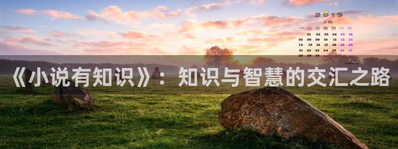 牛眼看书网韵母攻略