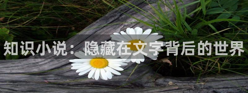 牛眼看书新网站