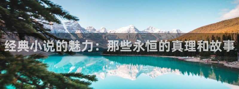 牛眼看书下载：经典小说的魅力：那些永恒的真理和故事