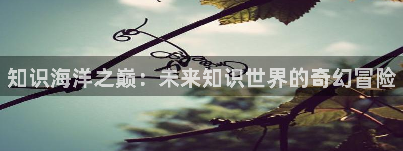 牛眼看书排行榜