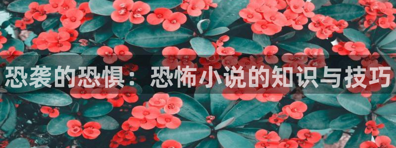 牛眼看书官网