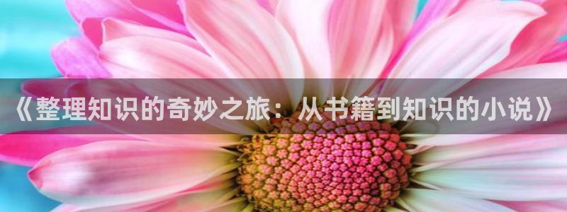 牛眼看书排行榜