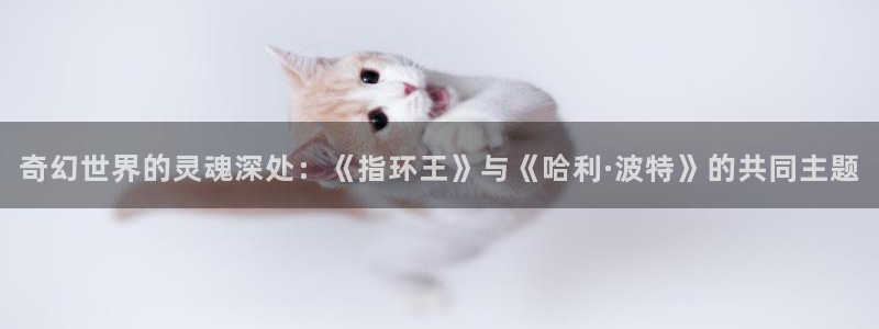 牛眼看书阅读