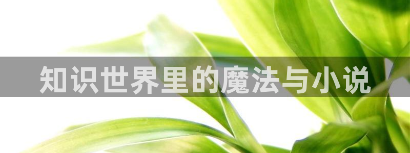 牛眼看书网页入口