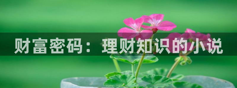 牛眼看书免费全文：财富密码：理财知识的小说