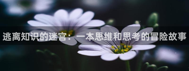 牛眼看书官网