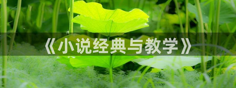 牛眼看书下载