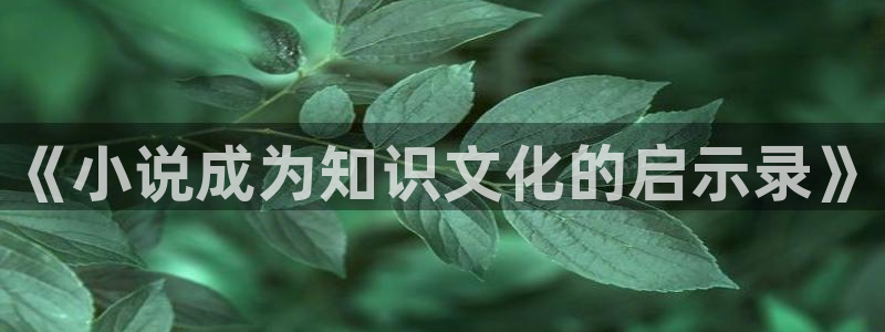 牛眼看书网站：《小说成为知识文化的启示录》